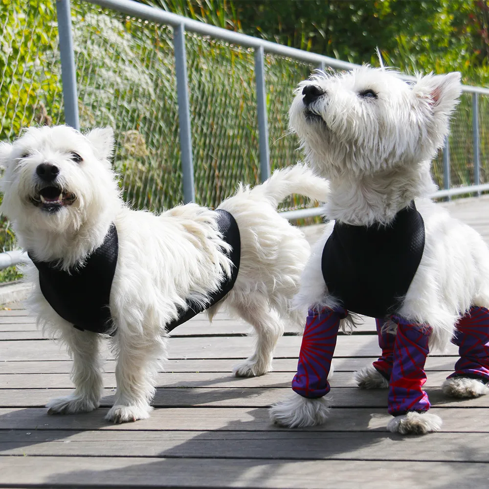 ECO LEGGINGS | purple   red bursts