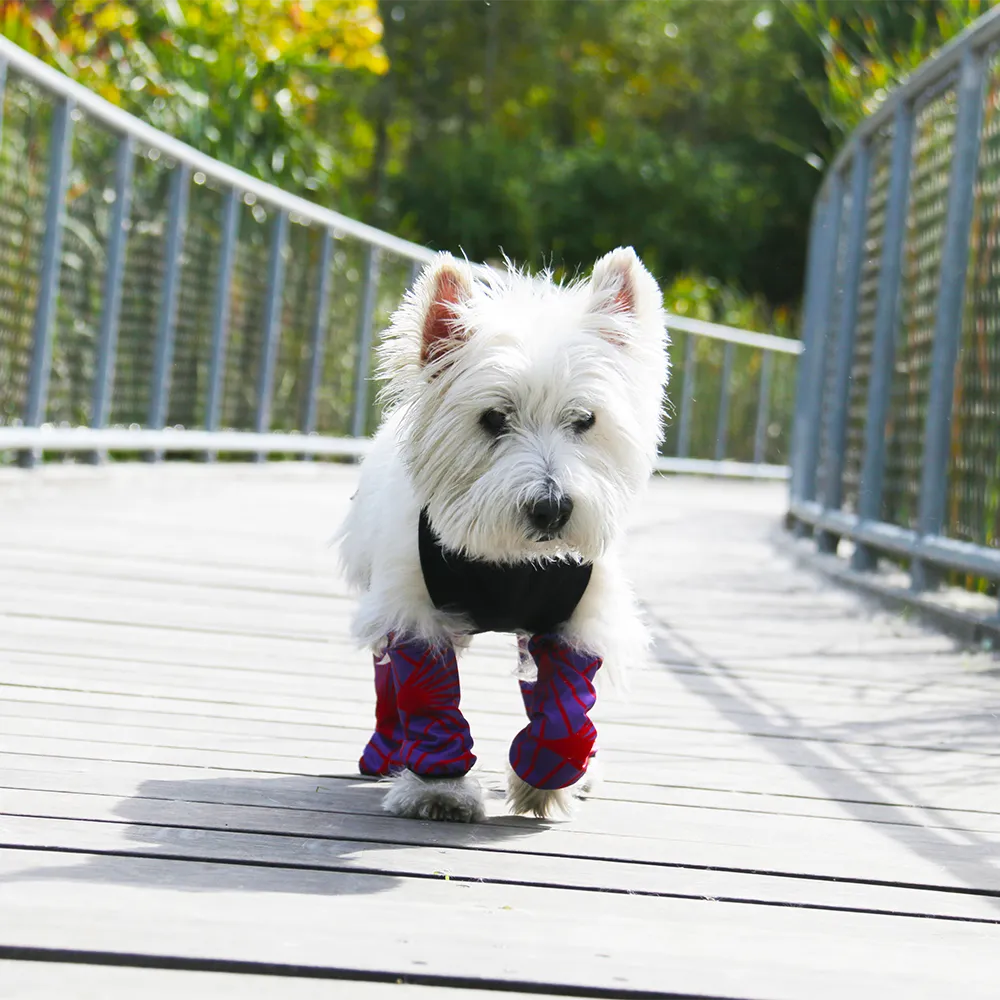 ECO LEGGINGS | purple   red bursts