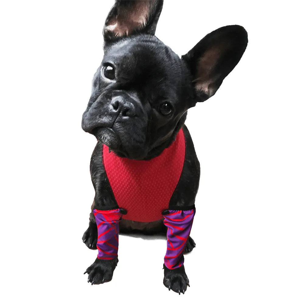 ECO LEGGINGS | purple   red bursts